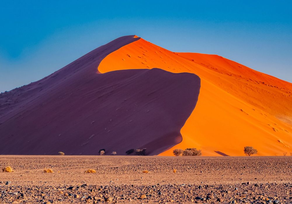 Dune 45 in Sossusvlei, Namibia, with camelthorn trees in the front